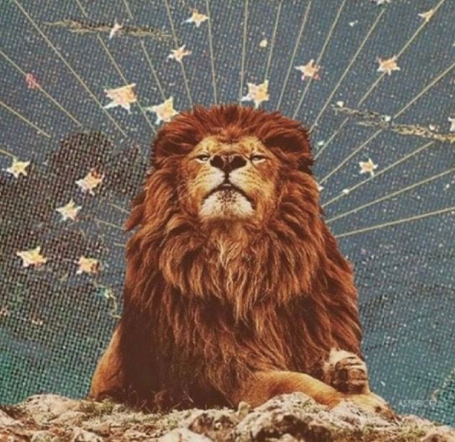 León bajo la corona de estrellas