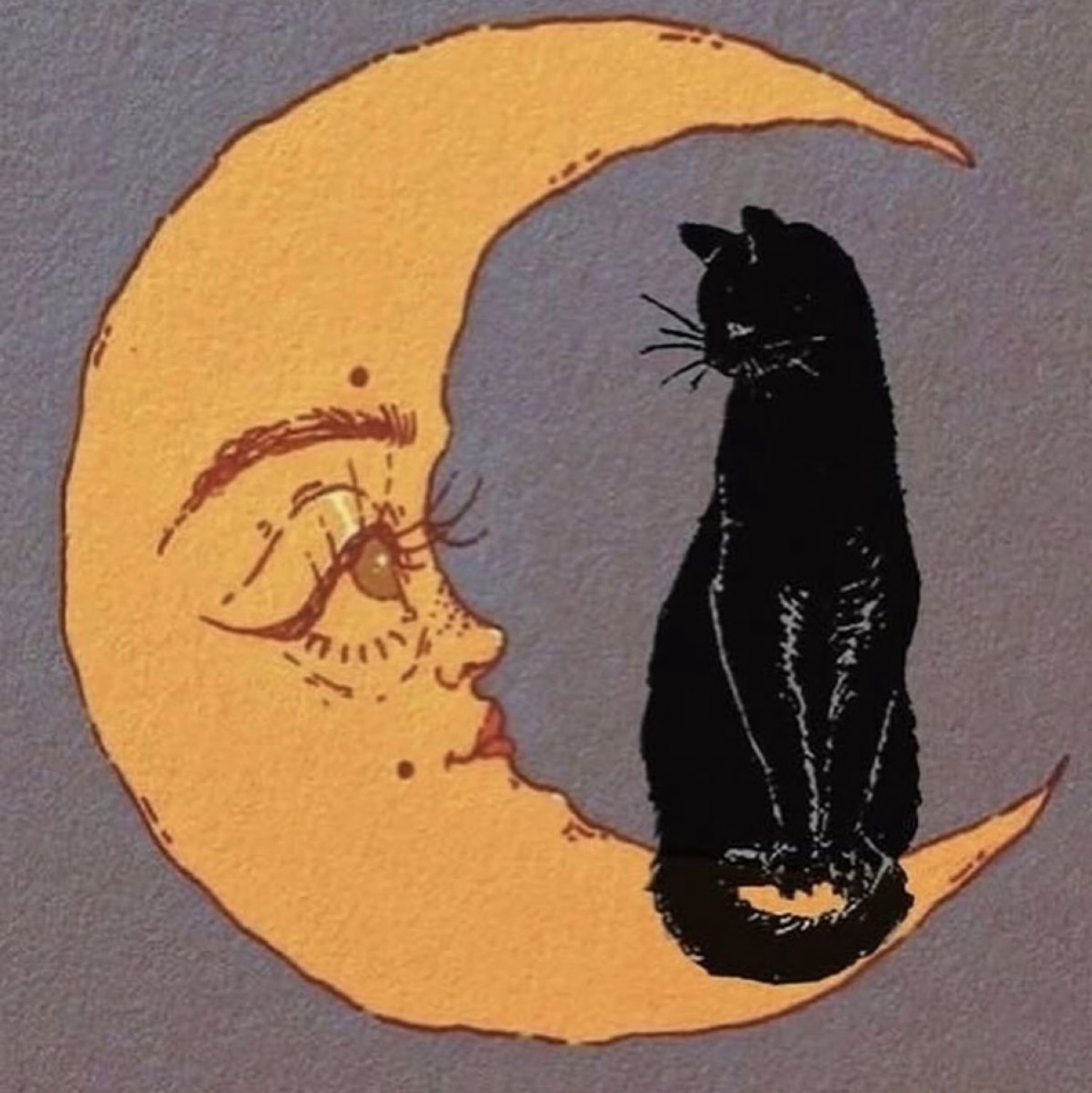 Gato negro en la luna creciente