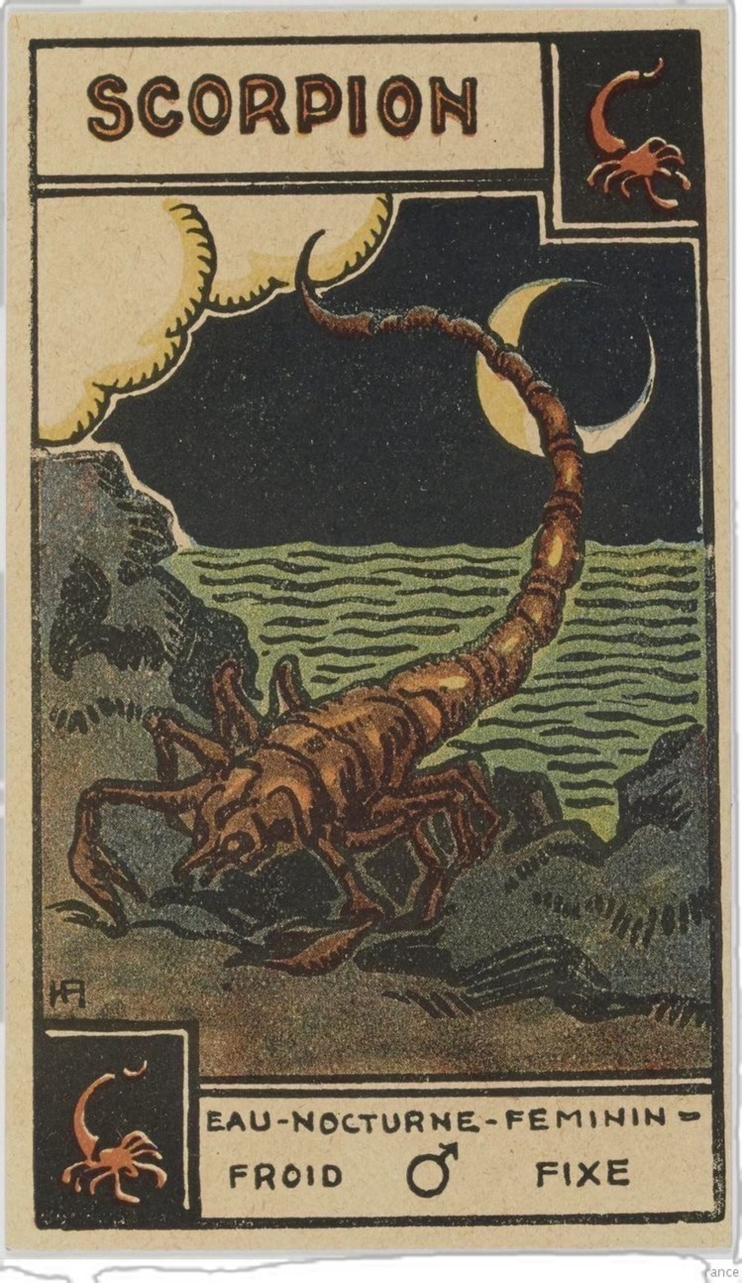 Escorpio junto al agua