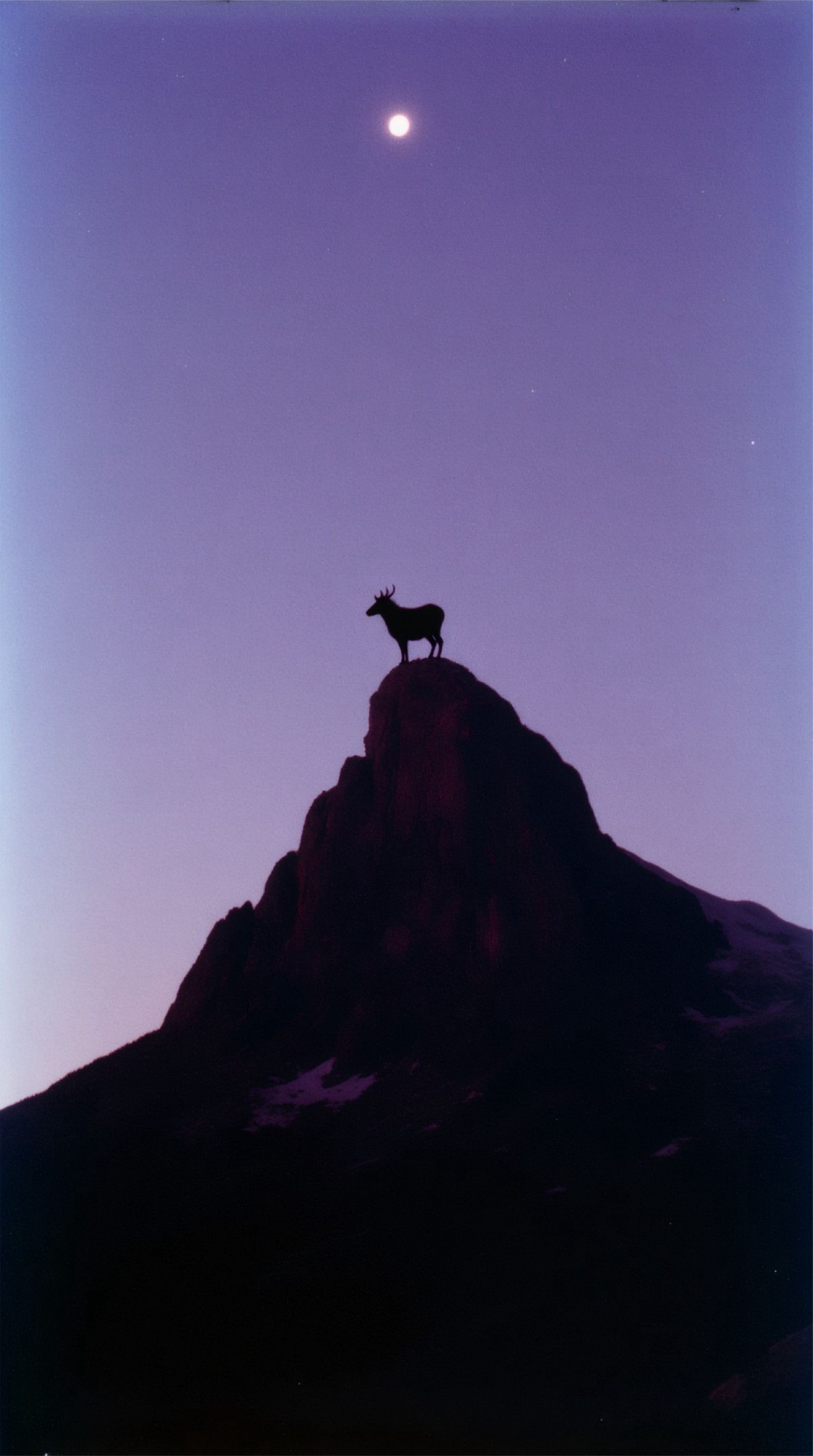 Ciervo en la cumbre bajo la luna